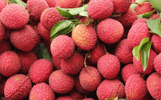 litchi